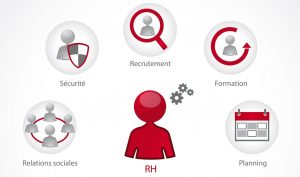 ressources humaines, rh, grh